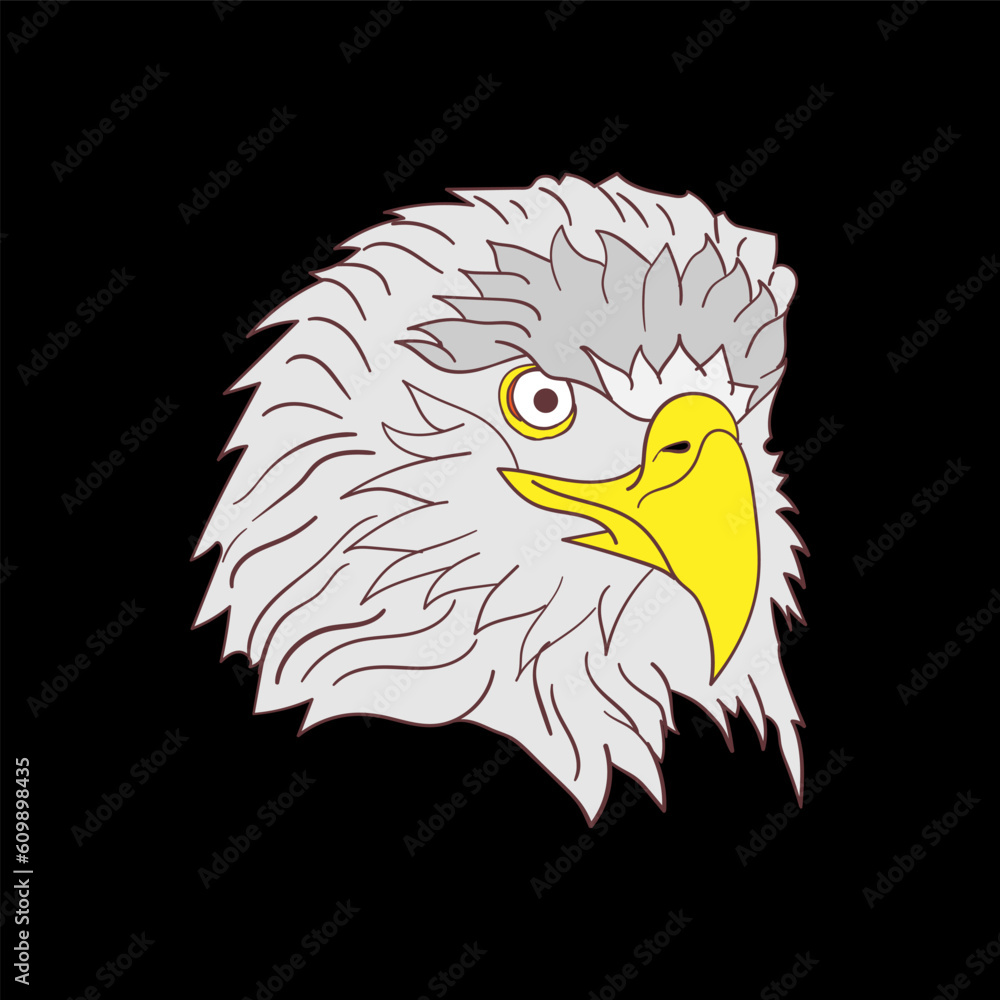 Obraz premium vector illustration of an eagle's head