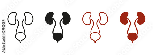 Healthy Internal Organs, Health Bladder and Kidney Symbol Collection. Urology Disease Pictogram. Human Urinary System Line and Silhouette Color Icon Set. Isolated Vector Illustration