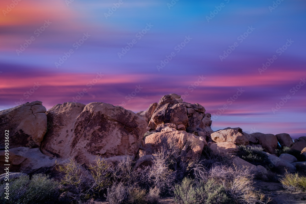 Obraz premium View from road trip with Joshua trees national park at sunset landscape around. California, USA