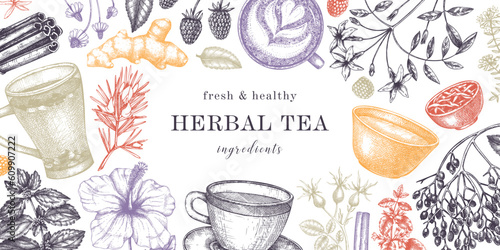 Hand drawn tea drinks ingredients banner in color. Vector sketches of hot beverage cups, herbs, flowers, fruits background. Herbal tea design for cafe or restaurant menu, banners, web.