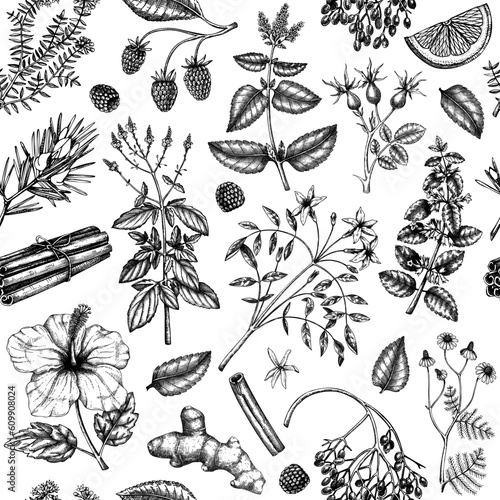 Hand drawn tea ingredients background. Vector sketches of herbs, flowers, fruits and berries in engraved style. Herbal tea seamless pattern for textile, fabric, packaging