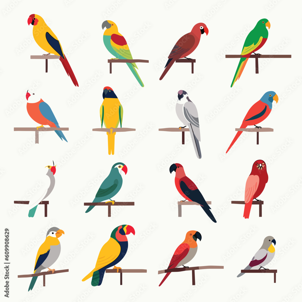 Parrots set vector illustration isolated