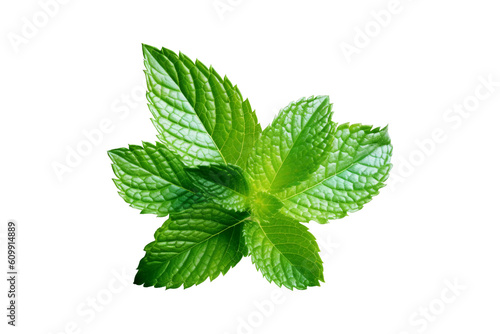 Fresh mint leafs isolated on transparent or white background, png 