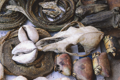 Dried Heads of the Different Animals for the Rituals on Akodessawa Fetish Market, Togo photo