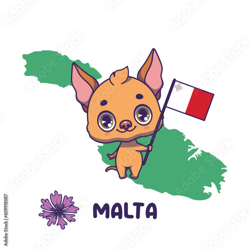 National animal pharaoh hound holding the flag of Malta. National flower centaurea displayed on bottom left