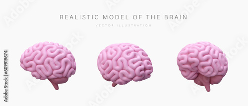 Realistic model of human brain. Pink cerebrum, view from different sides. Illustration in cartoon style. Vector concept for training, medical resources