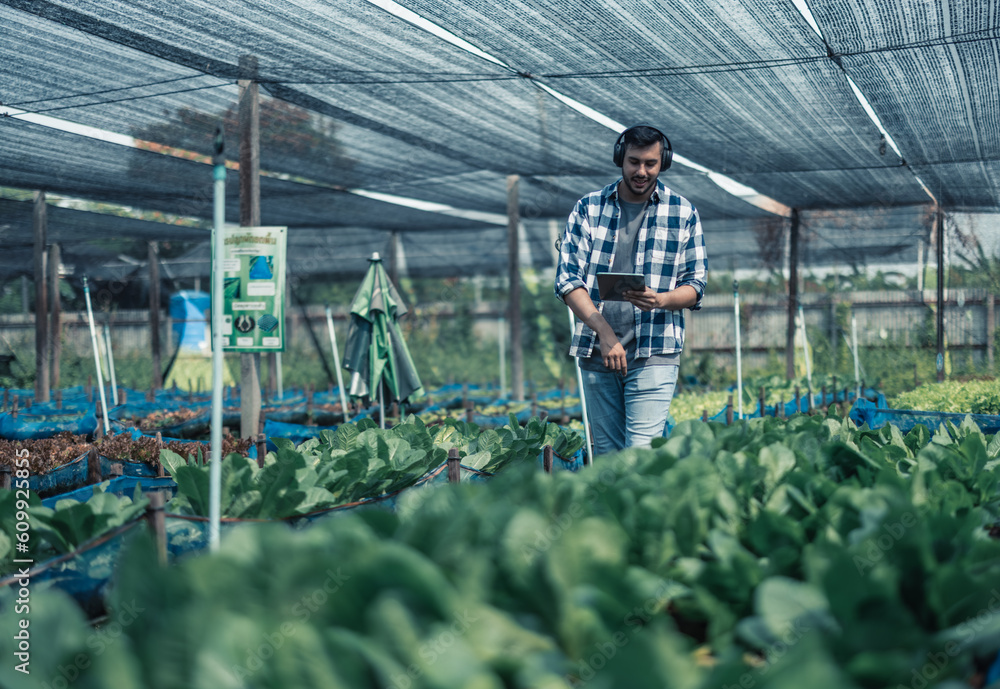 Farming worker enhance healthy work-life balance by listening to music ...