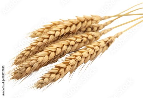 Ears of wheat lie on top of each other. Isolated on a transparent background. KI. 