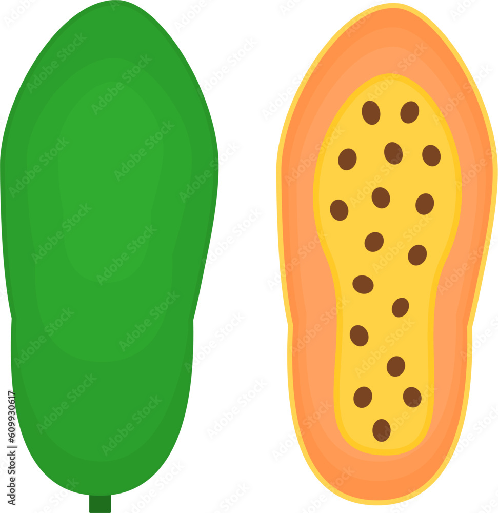 Vector illutration of Papaya and Papaya half Vector illutration of Papaya and Papaya half
