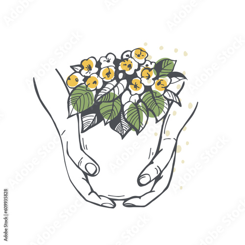 Hands with potted flowers. Sketch  illustration.