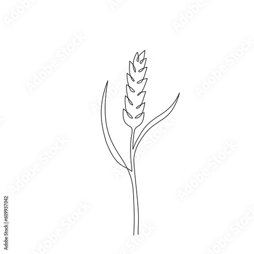 Single continuous line drawing of wheat grain ear. One line drawing of ripe ear. Linear sketch of grain of rice, oat ear. Silhouette of wheat ear. Modern design element for agriculture logo