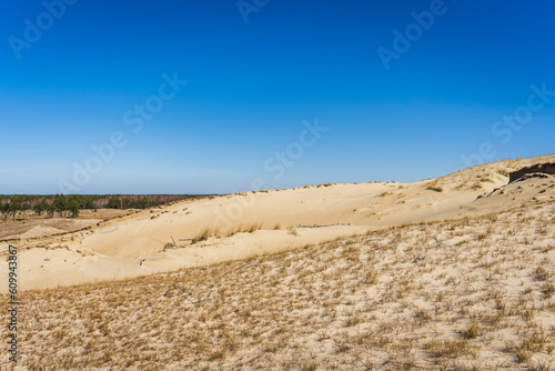 The Gray Dunes  or the Dead Dunes is sandy hills with a bit of green specks at the Lithuanian side of the Curonian Spit