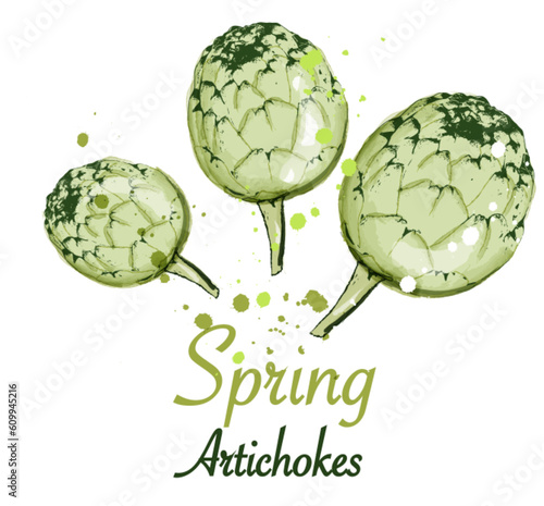 Artichokes vector watercolor fresh organic food