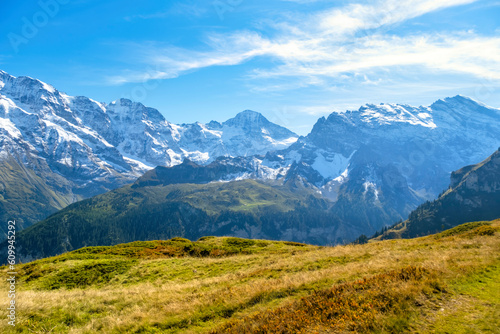 Idyllic summer panorama landscape in the Alps with fresh green meadows and snowcapped mountain tops in the background. Switzerland