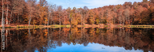 autumn forest with lake