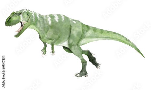 古代ギリシャ語にちなんで名づけられたこの大型肉食恐竜は白亜紀前期の終わりごろから後期の初期にかけてアフリカ大陸の北部地域に生息していた。カルカロドンはホホジロザメ属を意味するようにサメの歯のように薄くて鋸状のサメの歯のような歯を持っている。ティラノサウルスに匹敵するほどの体長と頭骨の大きさ持ち最大推定体長は13メートルに及ぶ。同時期に南アメリカ大陸に生息していたギガノトサウルスと近縁種。 © Mineo