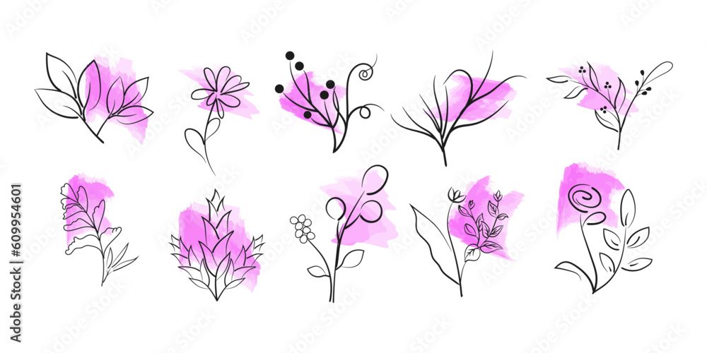 Wild flowers vector collection with watercolor. herbs, herbaceous flowering plants, blooming flowers, subshrubs isolated on white background. Vector illustration.