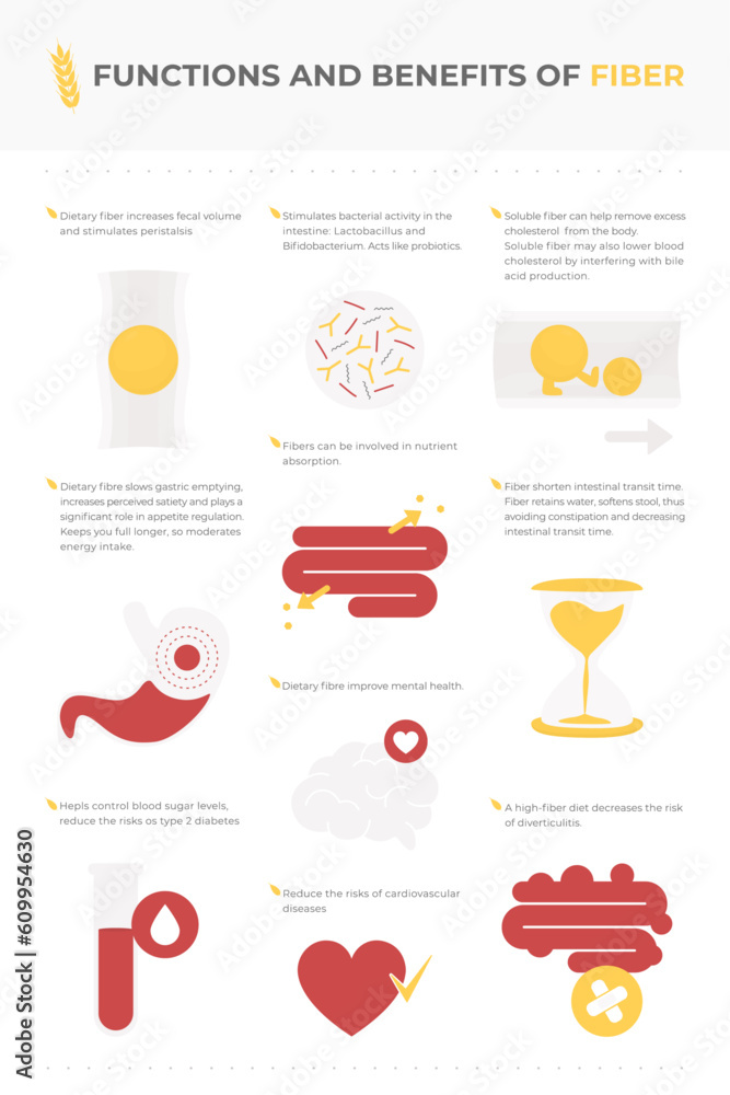 Dietary fiber infographic vector: metabolism functions and benefits.
Icon and graphics of medical elements and organs like intestine, stomach, heart, constipation, diverticulitis, bacterias, probiotic