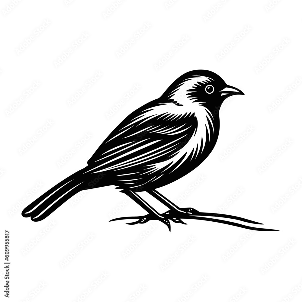 Fototapeta premium Black silhouette bird. illustration of exotic bird.