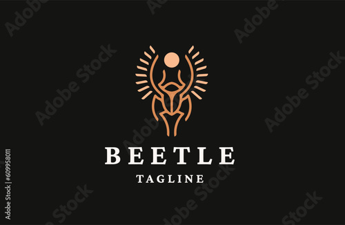 Beetle animal logo icon design template flat vector