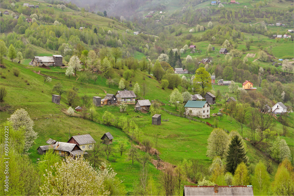 carpathian countryside ukraine