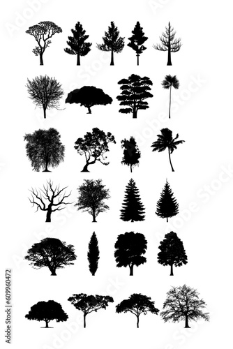 set of trees silhouettes. collection of various trees. vector illustration of tree.