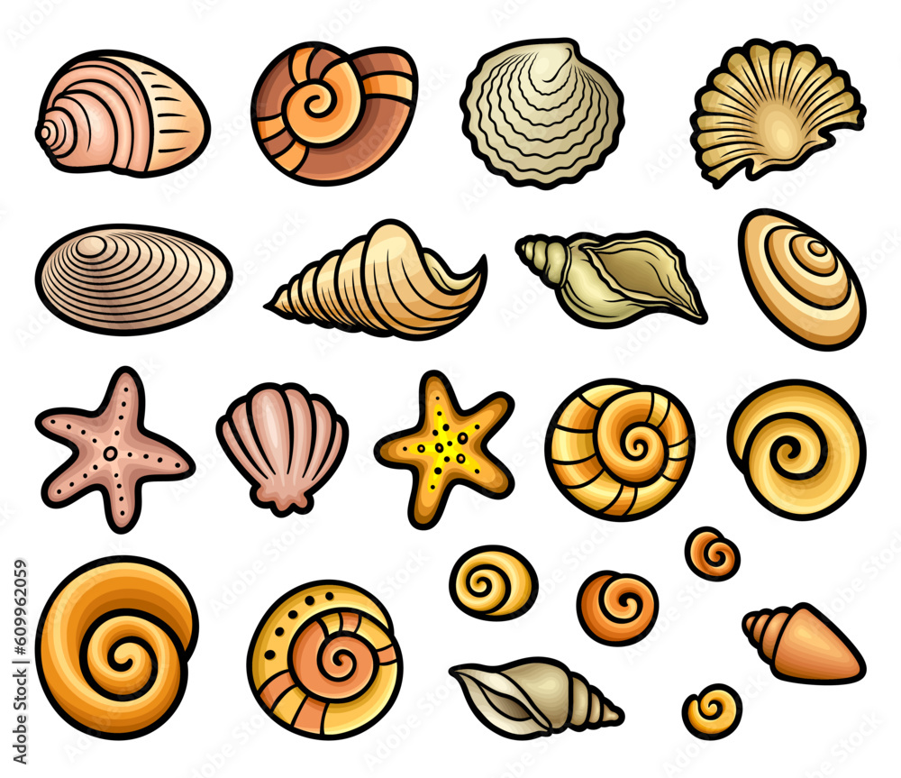 Cartoon set of cute doodle shells. Cartoon set of cute doodle shells.