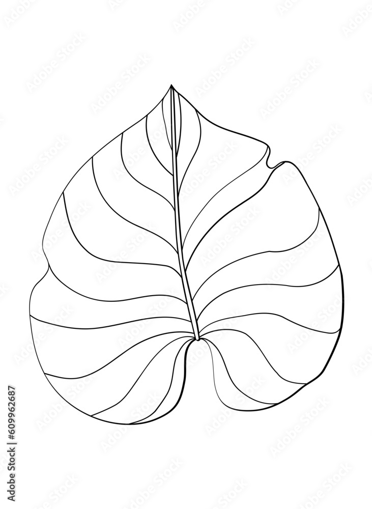 Fototapeta premium Wedding Outline Flower Decoration