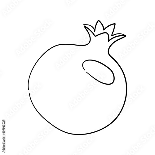 Vintage line art icon with Pomegranate sketch isolated on white background. Hand drawn vector illustration for web design.