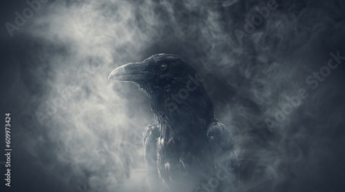 Creepy black crow portrait close up