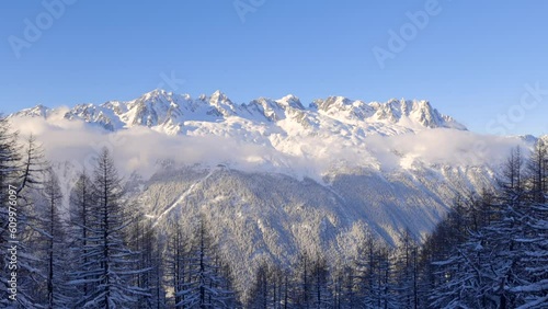 Snowy Mountain Tops With Trees In Foreground