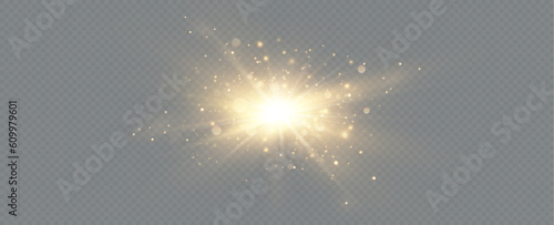 Golden particles of light. Golden light. Light flare.Stars isolated on transparent background.