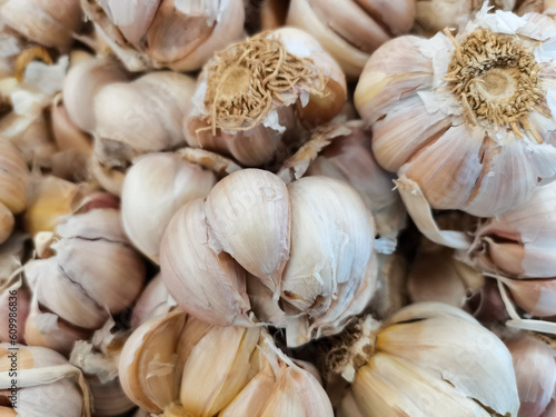 Freshly harvested garlic from garlic plantations that have been selected with the best quality for sale in the market. Garlic (Allium sativum; garlic) plant of the genus Allium