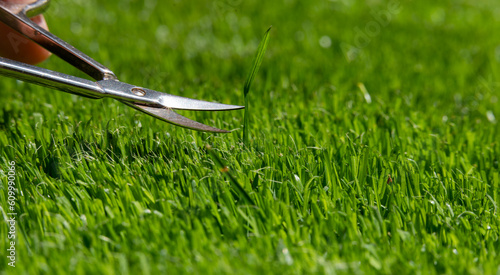 Fényképezés Symbol for a perfectionist who cuts the lawn with small scissors.