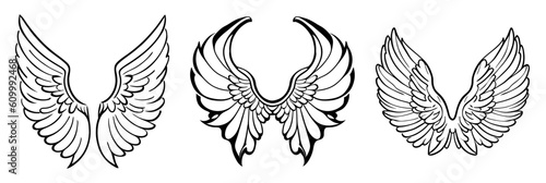 Hand drawn sketch style wing set.