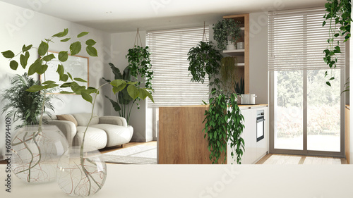White table top or shelf with glass vase with hydroponic plant, ornament, root of plant in water, branch in vase, house plant, kitchen and living room, houseplants, interior design © ArchiVIZ