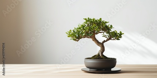 A small, well-groomed bonsai tree on a minimalist wooden table, concept of Nurturing Nature, created with Generative AI technology