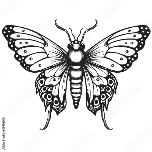 A drawing of a moth in black and white. Tattoo idea for a insect theme.