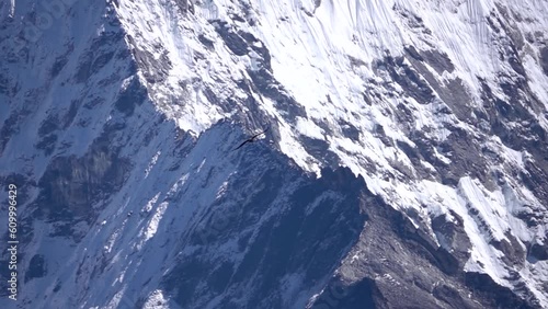 Bearded vulture raptor flying with himalaya mountain 
Slow motion shit from Nepal, 2023
 photo