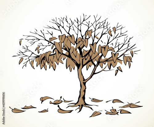 Vector drawing. Withered tree with fallen leaves