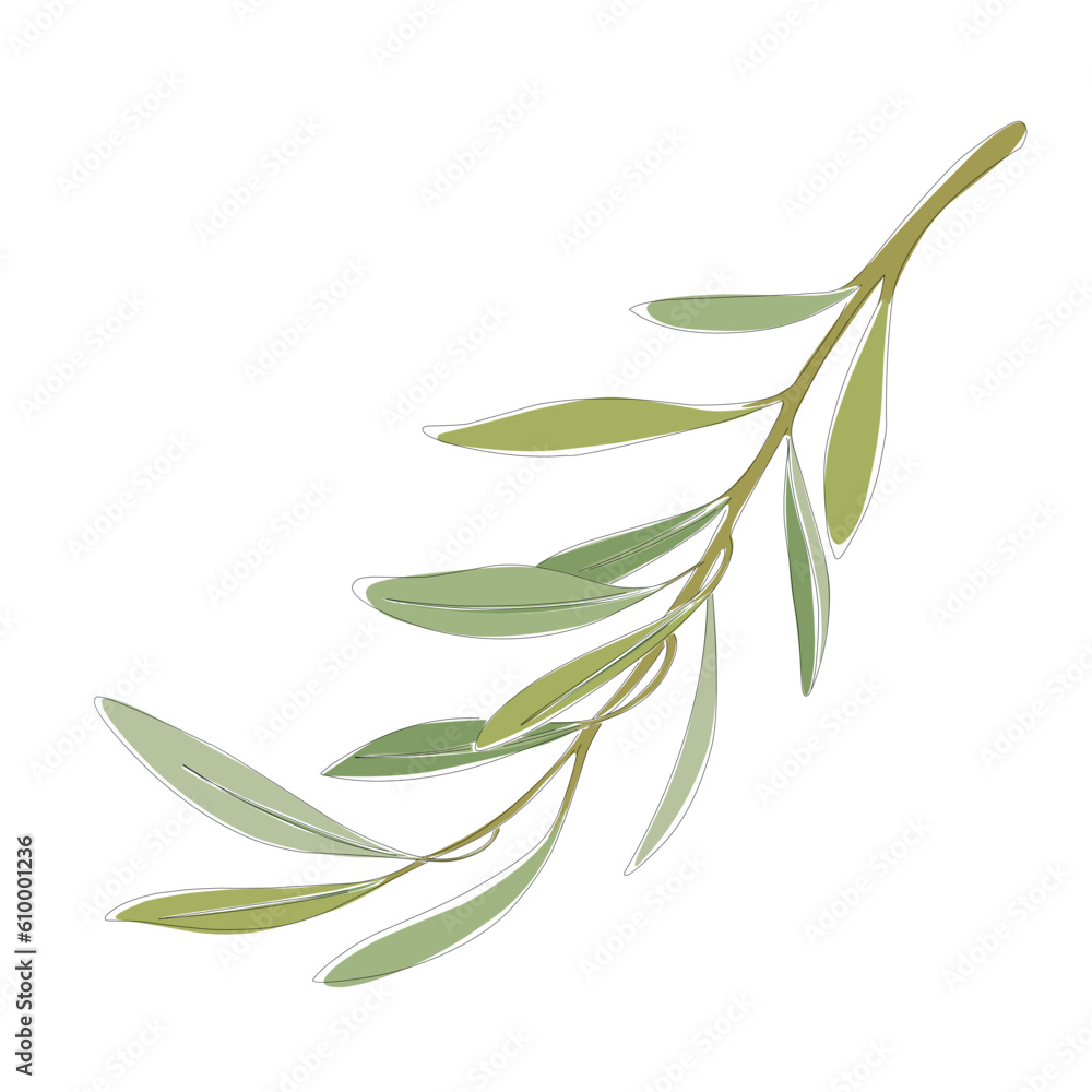Fototapeta premium leaves watercolour vector