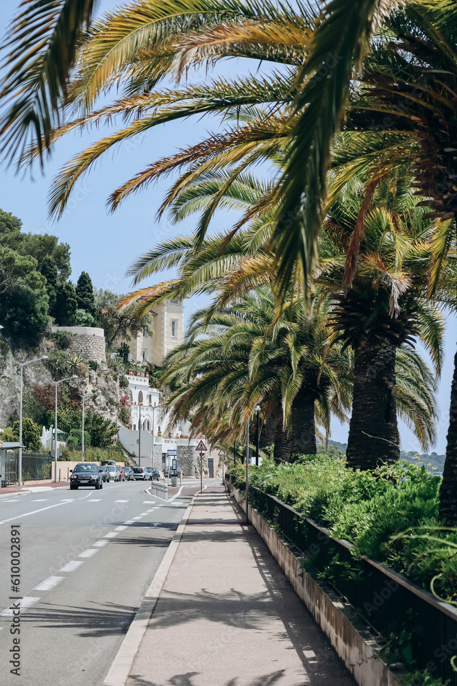 Palm trees along the road between Nice and Villefranche sur Mer, on the French Riviera Palm trees along the road between Nice and Villefranche sur Mer, on the French Riviera