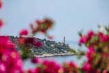 Bougainvillea out of focus in the foreground and Saint-Jean-Cap-Ferrat in the background