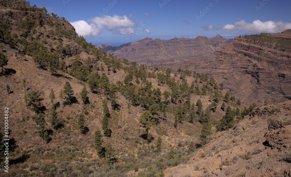 Gran Canaria, landscape of the southern part of the island, hiking route of ascent of Tauro mountain
