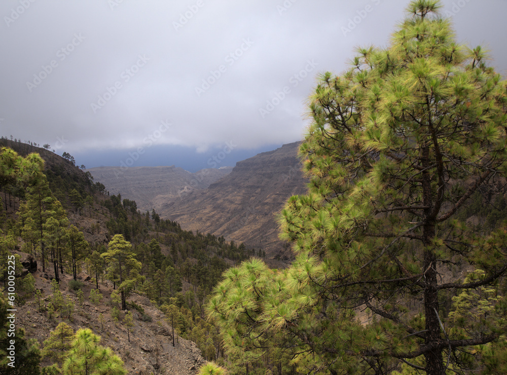 Gran Canaria, landscape of the southern part of the island, hiking route of ascent of Tauro mountain
