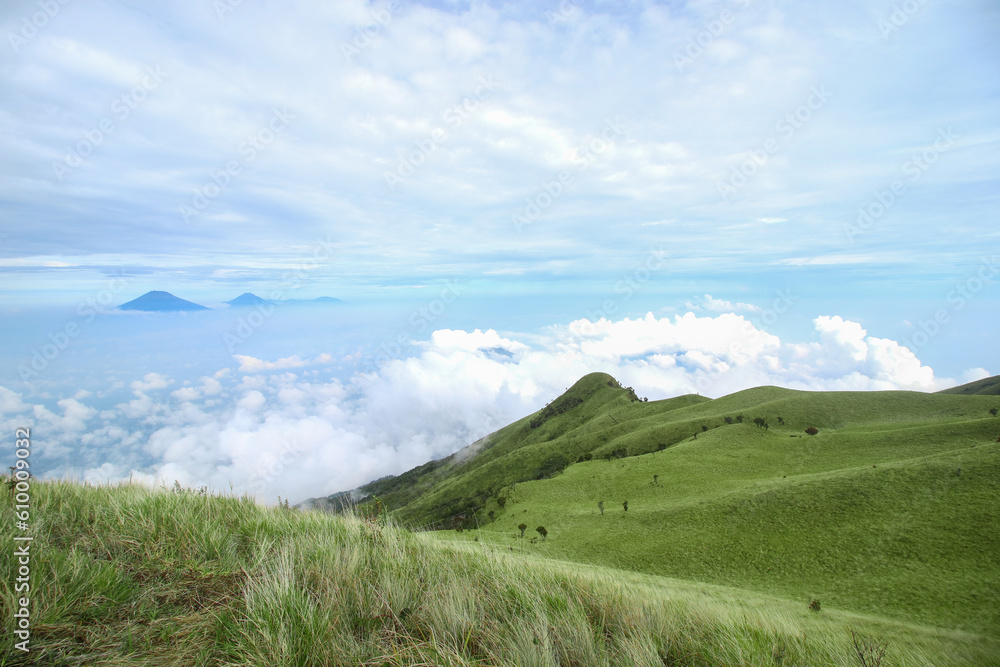 Fototapeta premium Merbabu mountain green savanna. Mount merbabu via suwanting