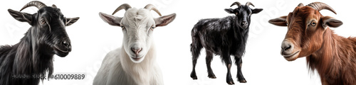 Photographie goat face shot isolated on transparent background cutout