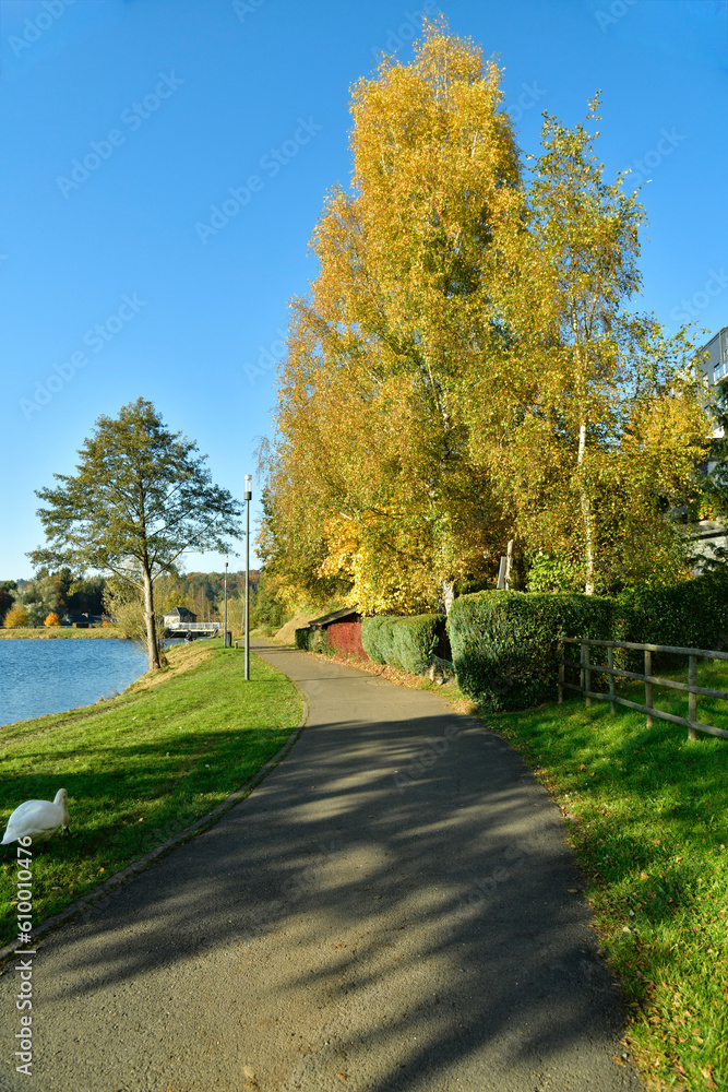 Chemin longeant le lac des Doyards sous les arbres au feuillage doré à Vielsalm Chemin longeant le lac des Doyards sous les arbres au feuillage doré à Vielsalm