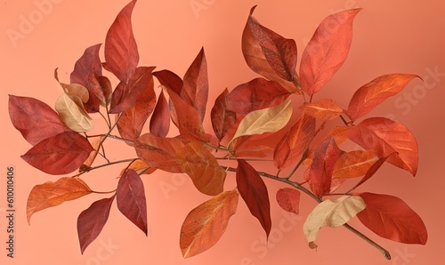  a branch of a tree with red leaves on a pink background with a red wall behind it and a pink wall behind it with a pink background. generative ai