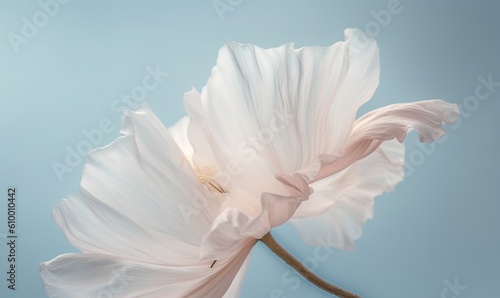  a large white flower with a blue sky in the background of it s center and a thin stem in the middle.  generative ai